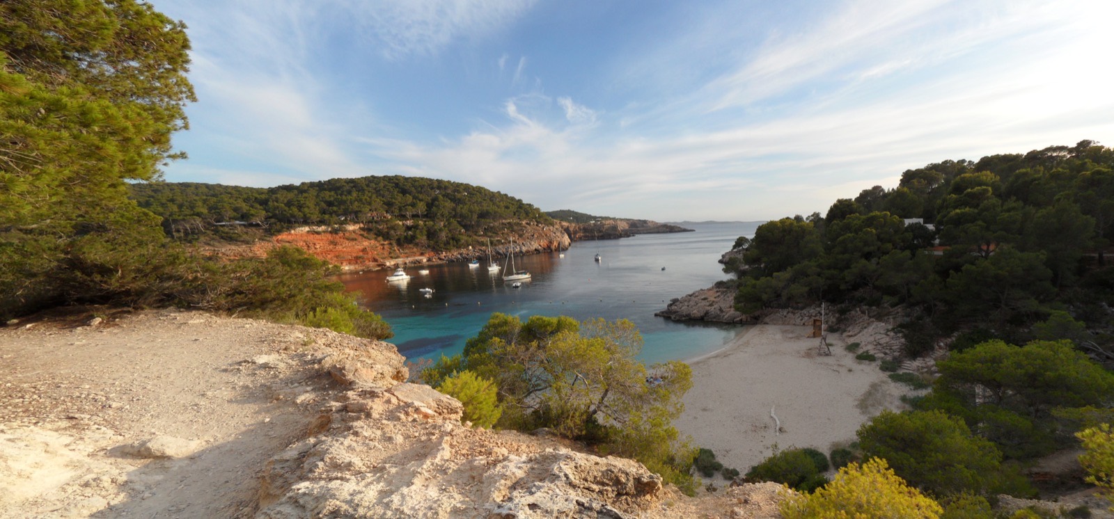 The small cove of Cala Saladeta in Ibiza, with clear turquoise shallows below low rocky cliffs and pines