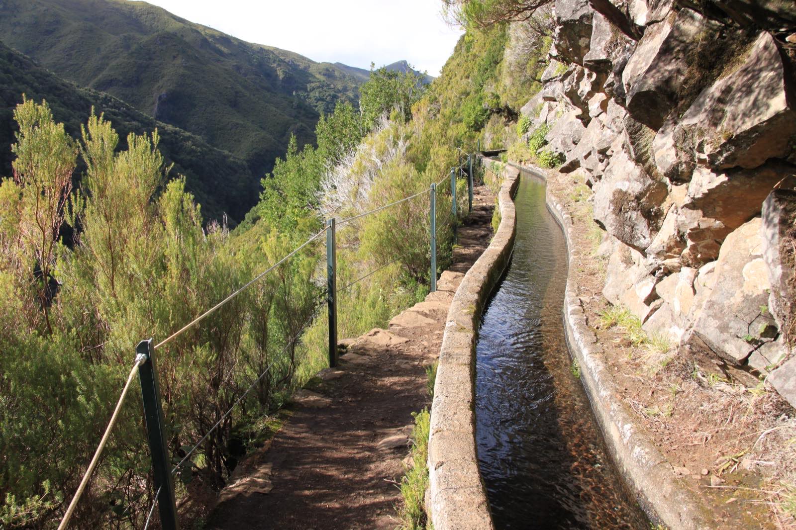 The narrow Levada das 25 Fontes water channel running through dense green laurel forest in Madeira