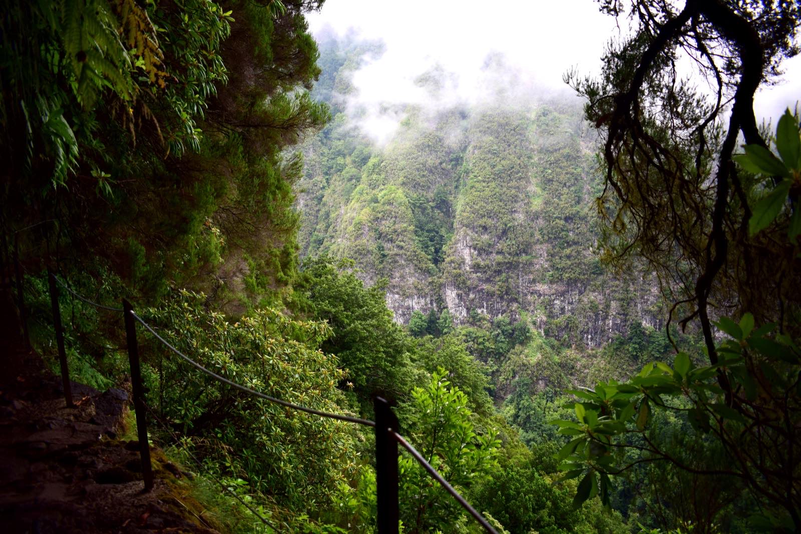 Walkers on the narrow Levada do Caldeirao Verde path cut into a cliff in the Madeira laurel forest